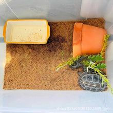 Alternate view of the Reptile Mat Plant Fiber Roll