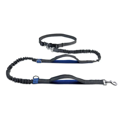 Retractable Bungee Canicross Dog Leash in Blue
