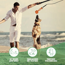 Retractable Flirt Pole Dog Toy, product photo 5 of 7