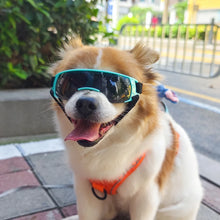 Retro Dog Sports Goggles, product photo 14 of 15