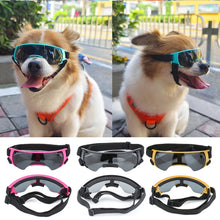 Alternate view of the Retro Dog Sports Goggles