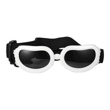 Retro Dog Sports Goggles in B-White