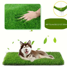 Alternate view of the Reusable Pet Training Lawn