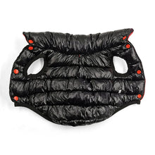 Reversible Water-Resistant Dog Coat, product photo 11 of 12