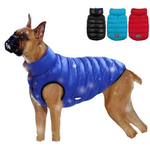 Alternate view of the Reversible Water-Resistant Dog Coat