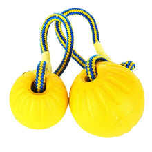 Rubber Ball with Rope Fetch & Chew Toy