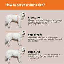 Safety Dog Life Jacket, product photo 10 of 10