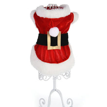 Santa Christmas Costume for Pets, product photo 11 of 19