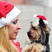 Alternate view of the Santa Claus Inspired Hat for Pets