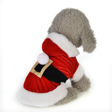 Dog wearing festive Santa Christmas costume