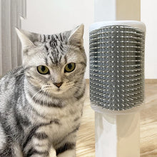 Self-Grooming Brush & Scratcher, product photo 5 of 6