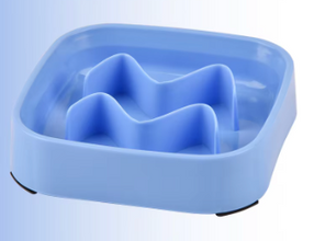 Slow Feeder Bowl for Cats and Dogs, product photo 6 of 11