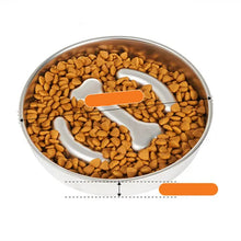 Slow Food Anti-Choking Bowl in Pet Bowl