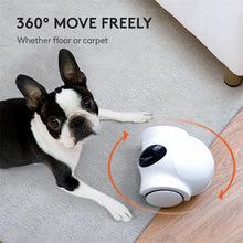 Smart Laser Feeder Dispenser, product photo 5 of 6