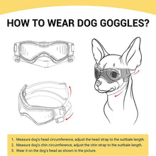 Soft Adjustable UV Protection Pet Goggles, product photo 5 of 9