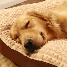 Soft Bed Mat Cushion for Pets, product photo 3 of 9