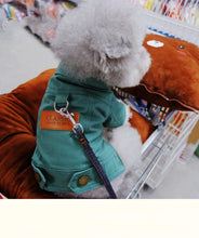 Spring Denim Coat with Leash Ring for Dogs, product photo 12 of 14