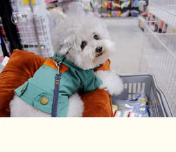 Spring Denim Coat with Leash Ring for Dogs, product photo 14 of 14