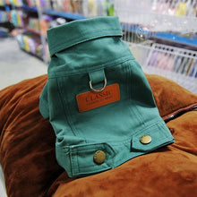 Spring Denim Coat with Leash Ring for Dogs in Green