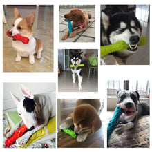 Squeaking Floatable Pet Toy, product photo 3 of 16