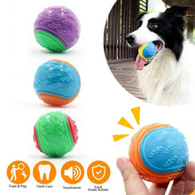 dog chewing squeaky dog ball toy