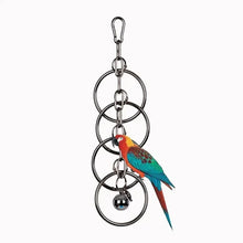 Stainless Steel Bird Climbing Toy in Large Circle