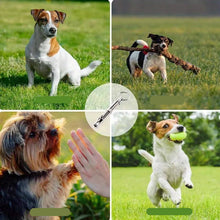Stainless Steel Dog Training Whistle, product photo 6 of 6