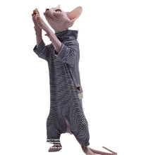 Striped Cotton Jumpsuit For Sphynx Cats, product photo 6 of 6