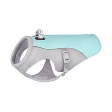 Teal and grey dog cooling vest harness with reflective trim