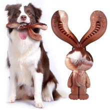 Super Tough Nylon Made Chew Toy for Dog in Chocolate