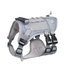 Tactical Dog Harness for Training in Grey Harness
