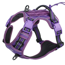 Tactical Dog Harness in Purple