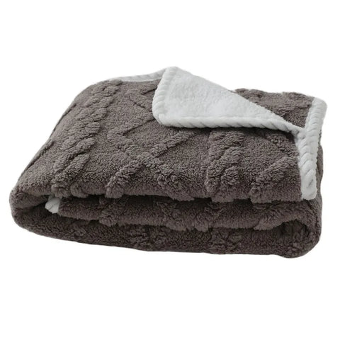 Thick Pet Plush Blanket for Winter in Coffee
