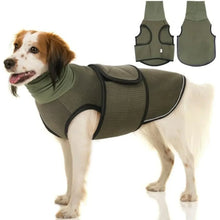 Thunder Jacket for Dogs