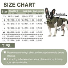 Thunder Jacket for Dogs, product photo 5 of 5