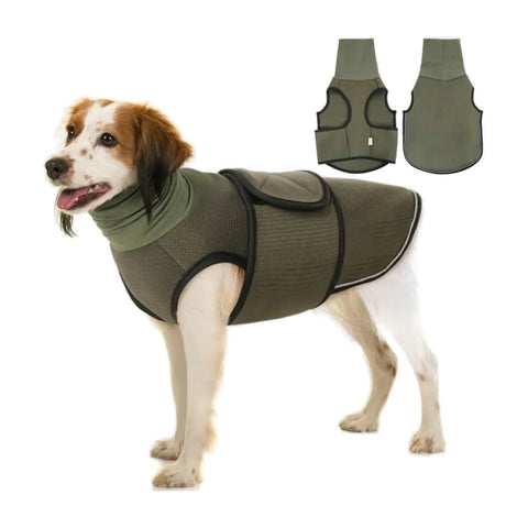 Thunder Jacket for Dogs on a white background
