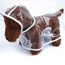 Transparent Hooded Pet Raincoat, product photo 3 of 6