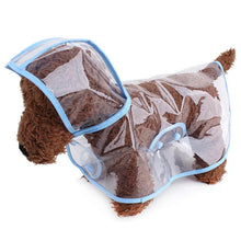 Transparent Hooded Pet Raincoat in Blue