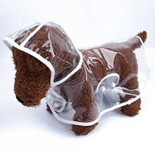Transparent Hooded Pet Raincoat in White