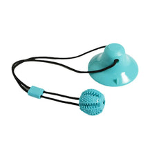 Tug Toy for Pets with Suction Cup in Blue