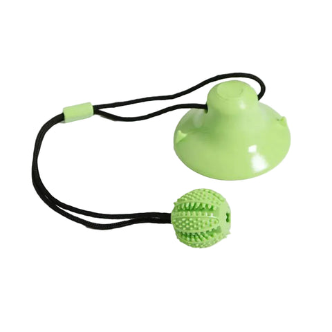Tug Toy for Pets with Suction Cup in Green