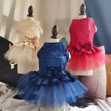 Tulle Lace Skirt Pet Apparel, product photo 5 of 9
