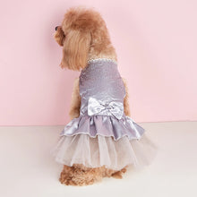 Tulle Lace Skirt Pet Apparel, product photo 6 of 9