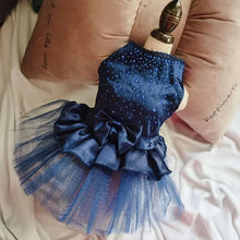 Tulle Lace Skirt Pet Apparel in Blue