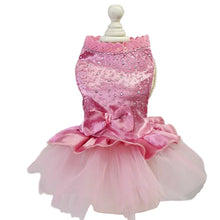 Tulle Lace Skirt Pet Apparel in Pink