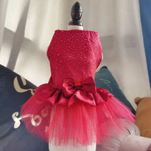 Tulle Lace Skirt Pet Apparel in Red