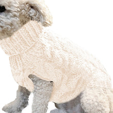 Turtleneck Sweater for Dogs in White