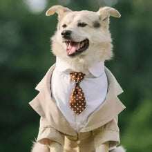 Tuxedo Wedding Suit for Dogs, product photo 4 of 8