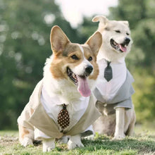 Tuxedo Wedding Suit for Dogs, product photo 5 of 8