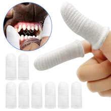 Alternate view of the Two Finger Dental Brush for Pets